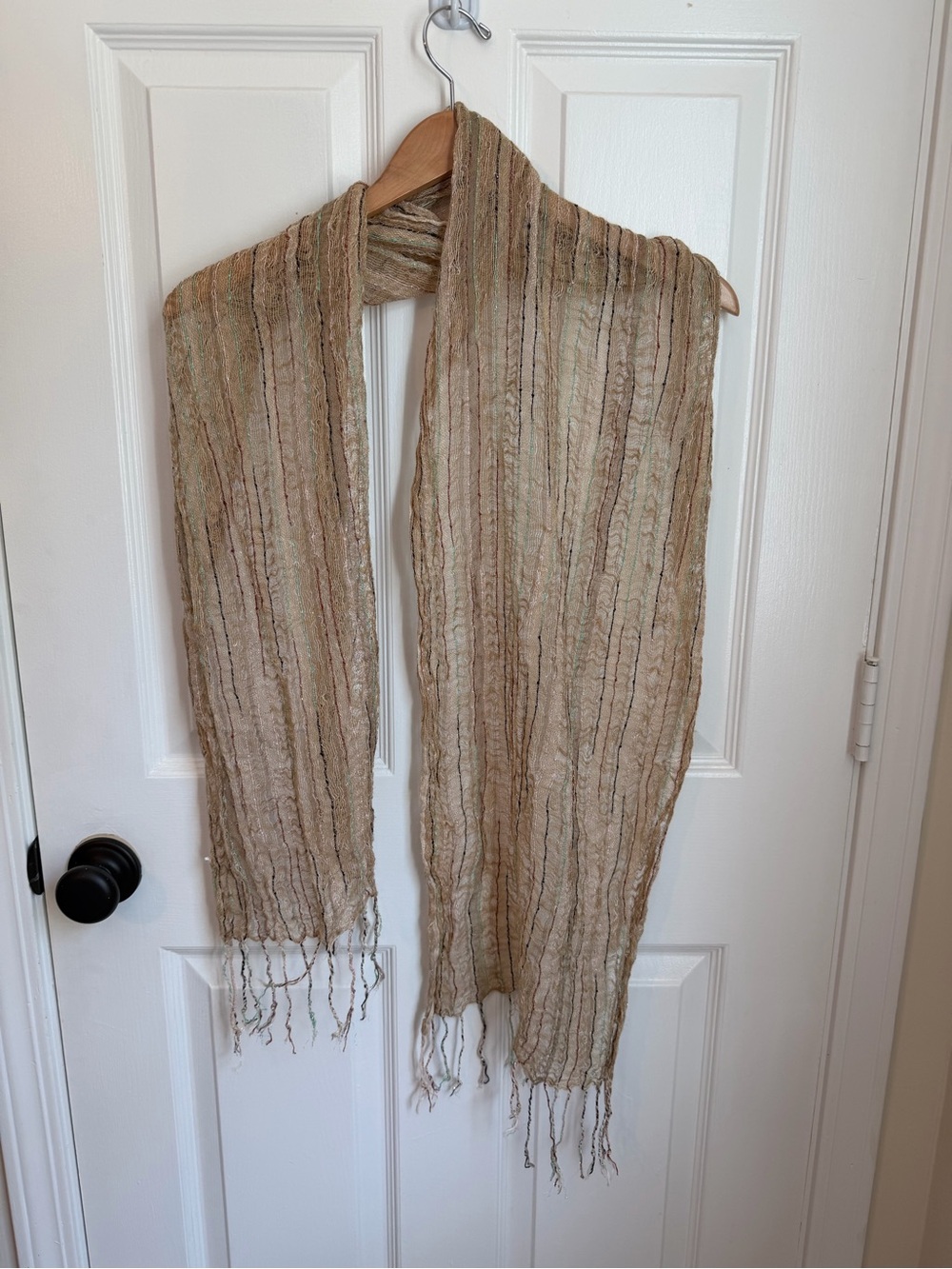 ๐ 5/$25 Neutral Textured Fall Scarf with Threaded Color - Picture 2 of 5